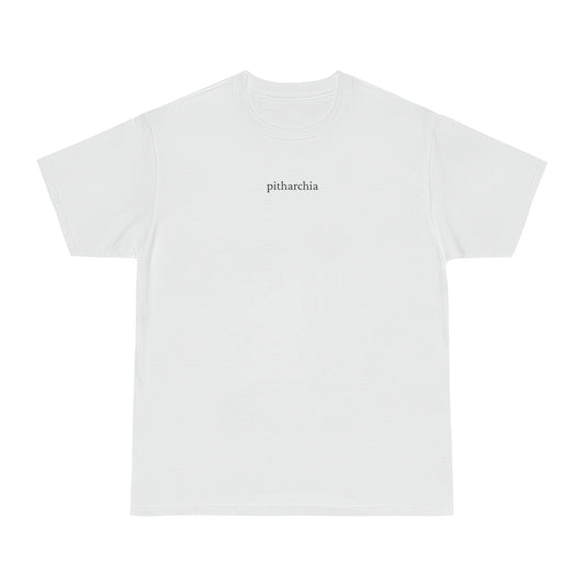 Cavery Theory, White, 26 Collection